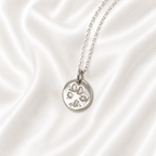 Personalised Pawprint Oval Silver Necklace