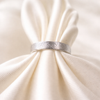 Fingerprint on a silver band