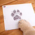 Personalised Takinganoseprintimpressionofadog